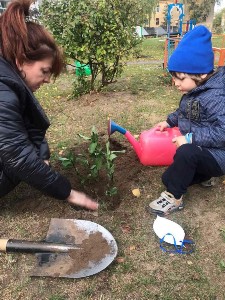 Изображение Изображение