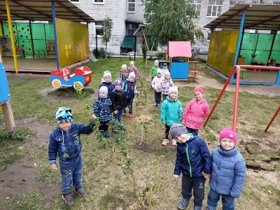 Изображение Изображение