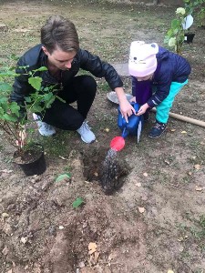 Изображение Изображение